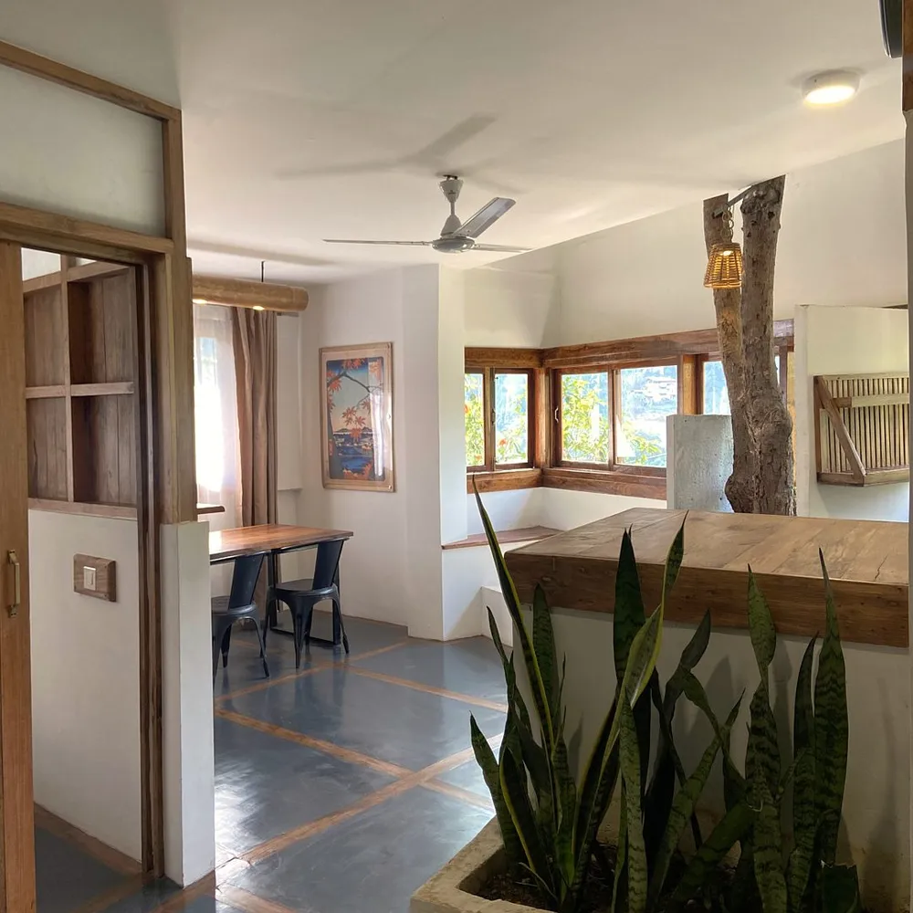 Bright interior with timber details and a tree growing through the room at Kengbari